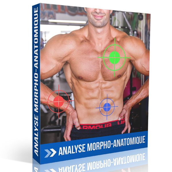 Analyse Morpho Anatomique En Musculation Rudy Coia